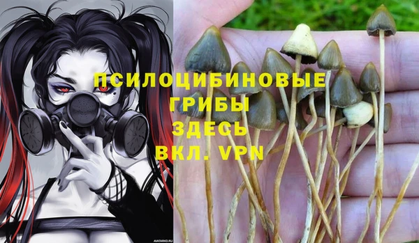 MDMA Premium VHQ Заволжье