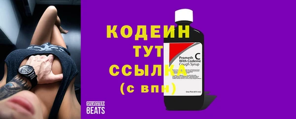 мдпв Заводоуковск