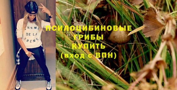 мдпв Заводоуковск