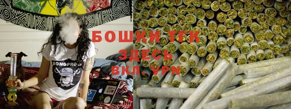 мдпв Заводоуковск