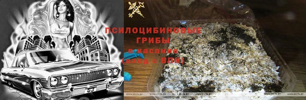 MDMA Premium VHQ Заволжье